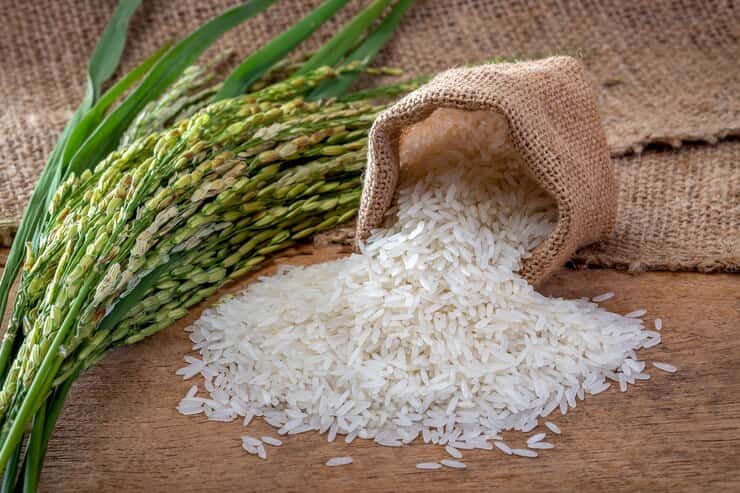 تصویر 1 از خرید برنج ممتاز ایرانی+ قیمت فروش استثنایی